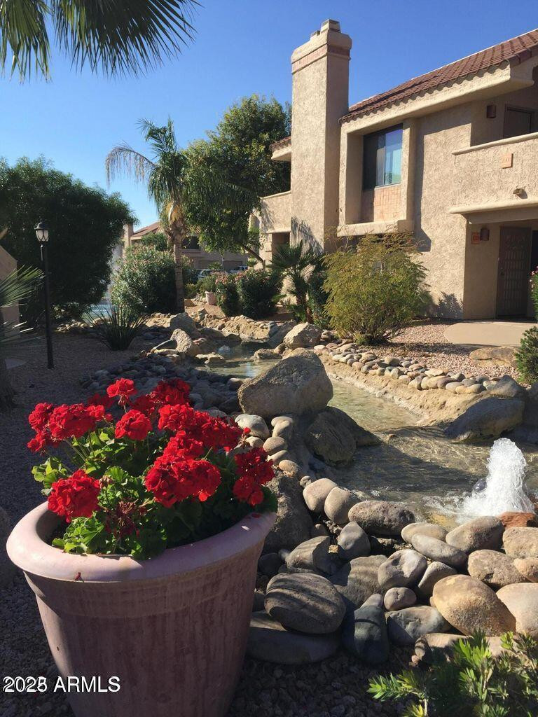 a view of a backyard
