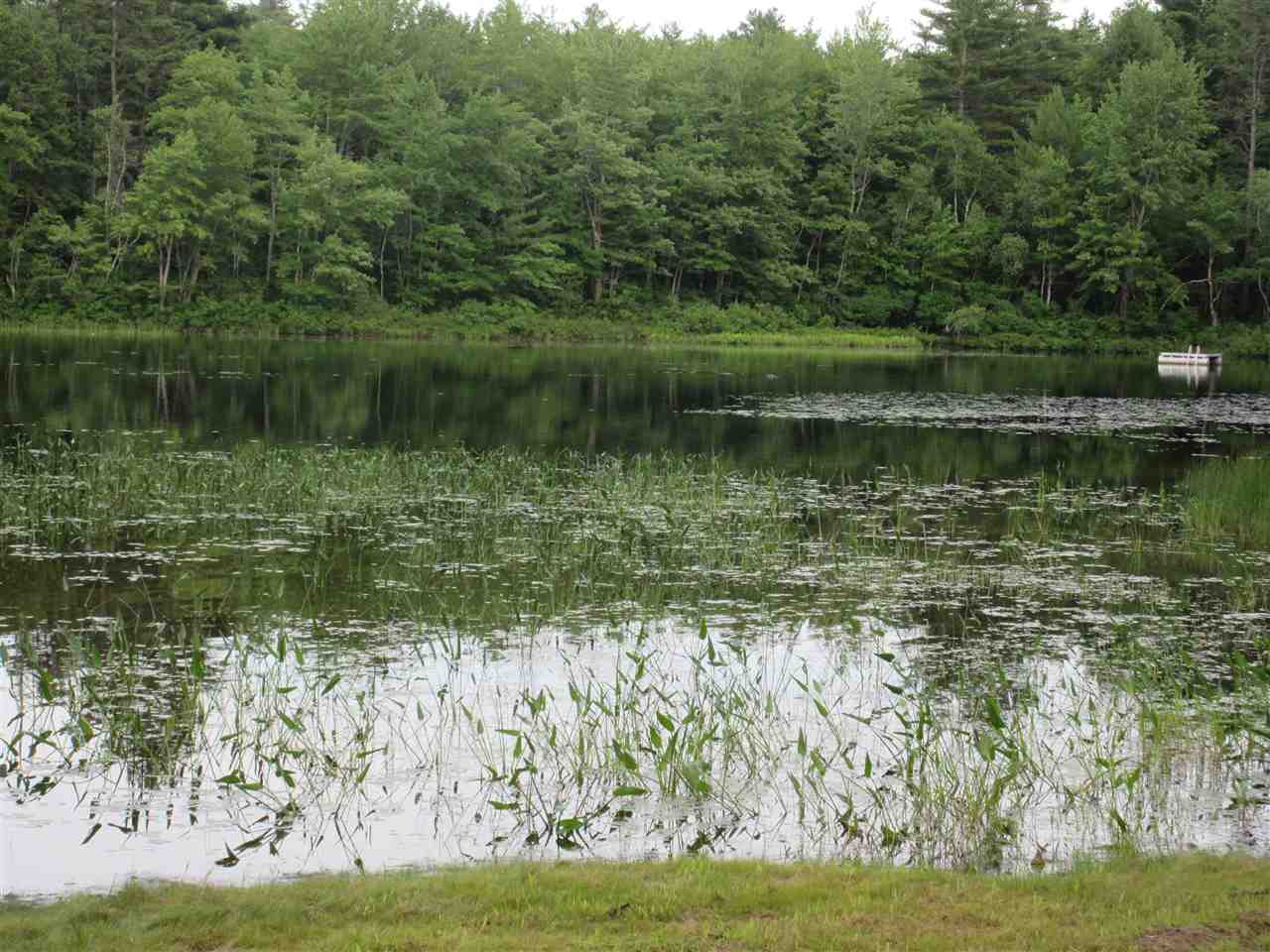 0 Round Pond Road Freedom, NH 03836 - Photo 10 of 10 Gallery Image 10