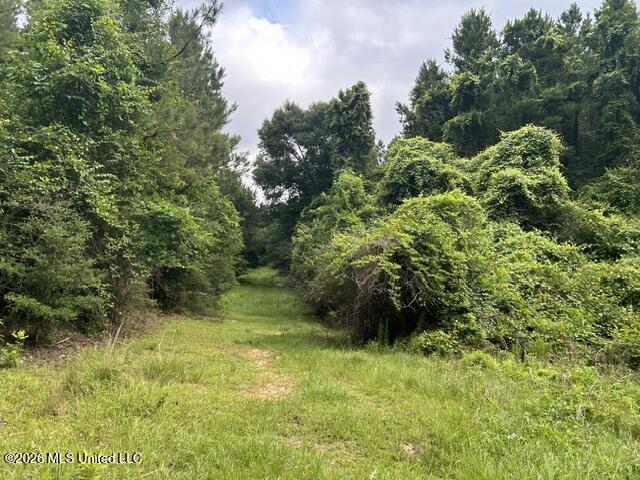 301 Freeman Road Southwest Summit, MS 39666 - Photo 24 of 43 IMG_4608