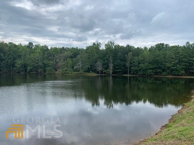 1963 South Walkers Mill Road Griffin, GA 30224 - Photo 1 of 1 Gallery Image 1