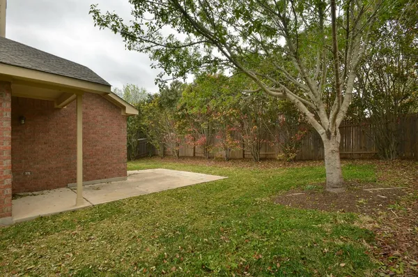a view of backyard with large trees