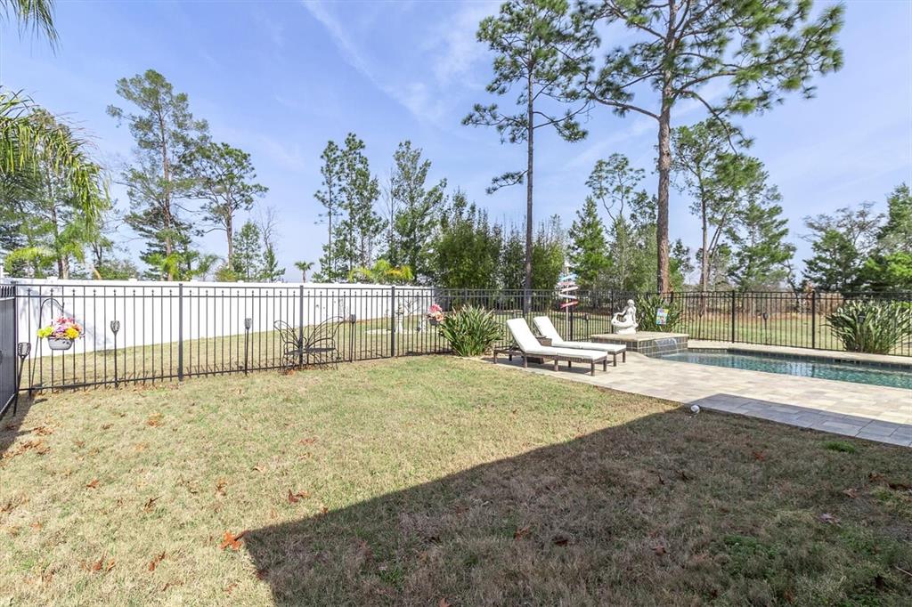 3455 Whispy Court Spring Hill, FL 34609 - Photo 33 of 42 a view of a backyard with trees