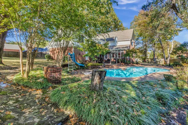 a view of a park with large trees