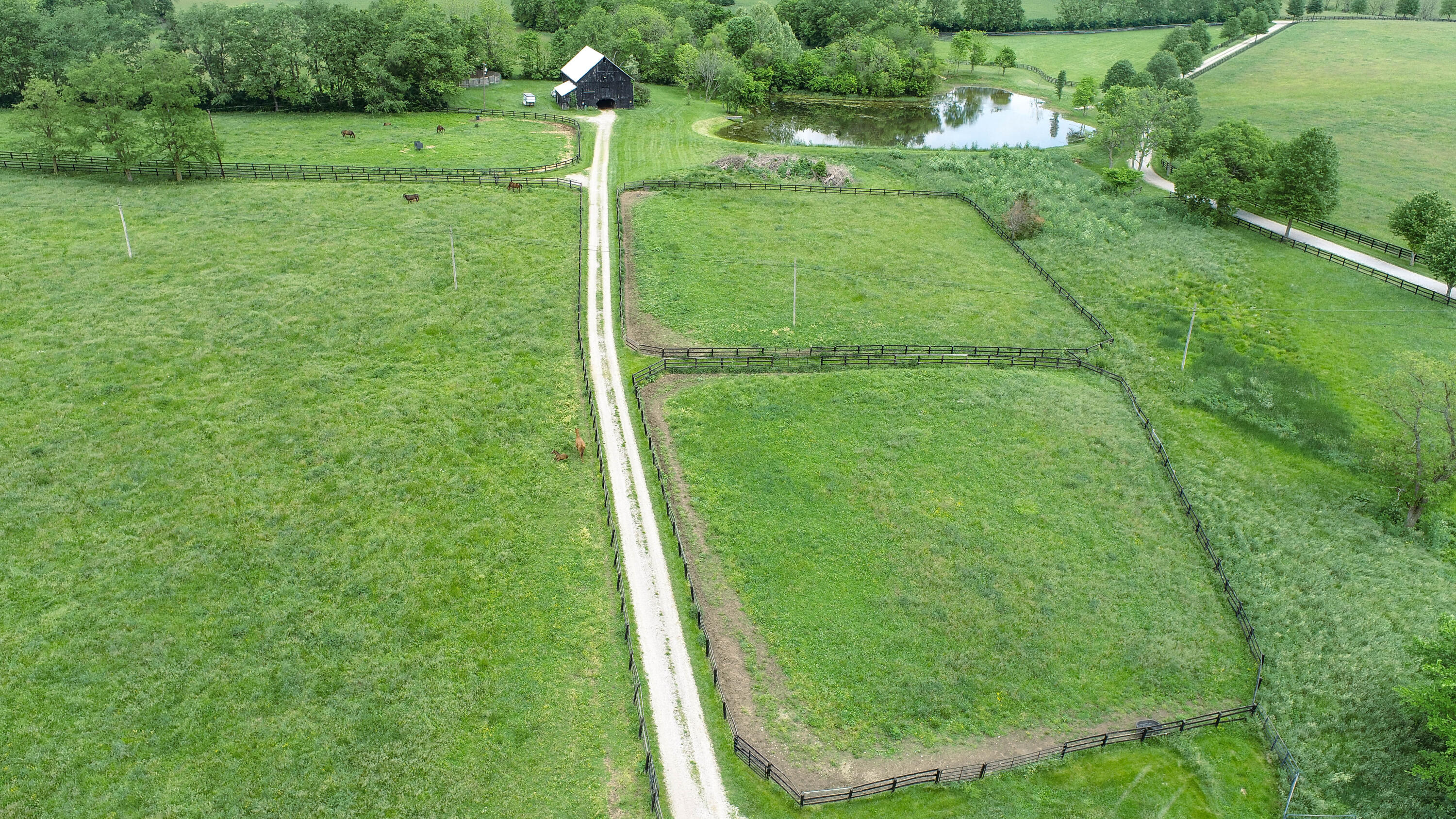 2327 North Middletown Road Paris, KY 40361 - Photo 63 of 74 DJI_0074