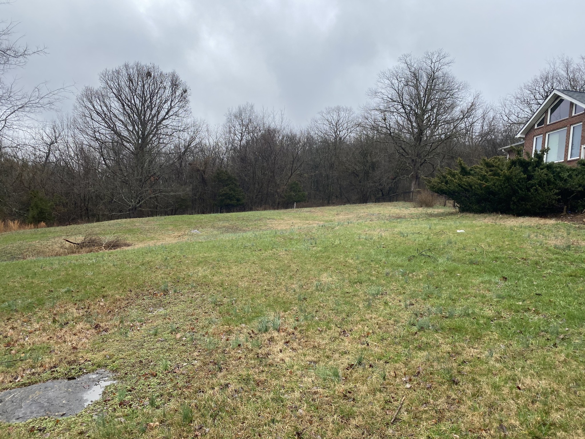 113 Lake Wood Road Lebanon, TN 37087 - Photo 3 of 19 a view of a field with trees in the background