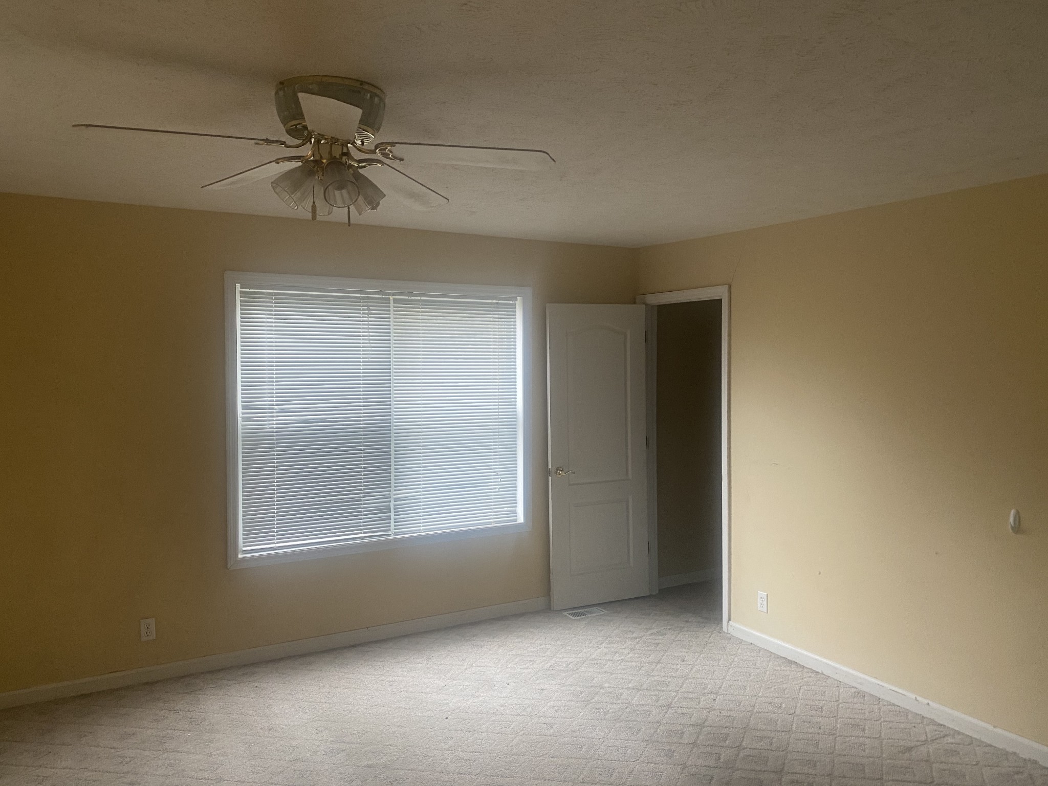 113 Lake Wood Road Lebanon, TN 37087 - Photo 7 of 19 an empty room with windows and fan