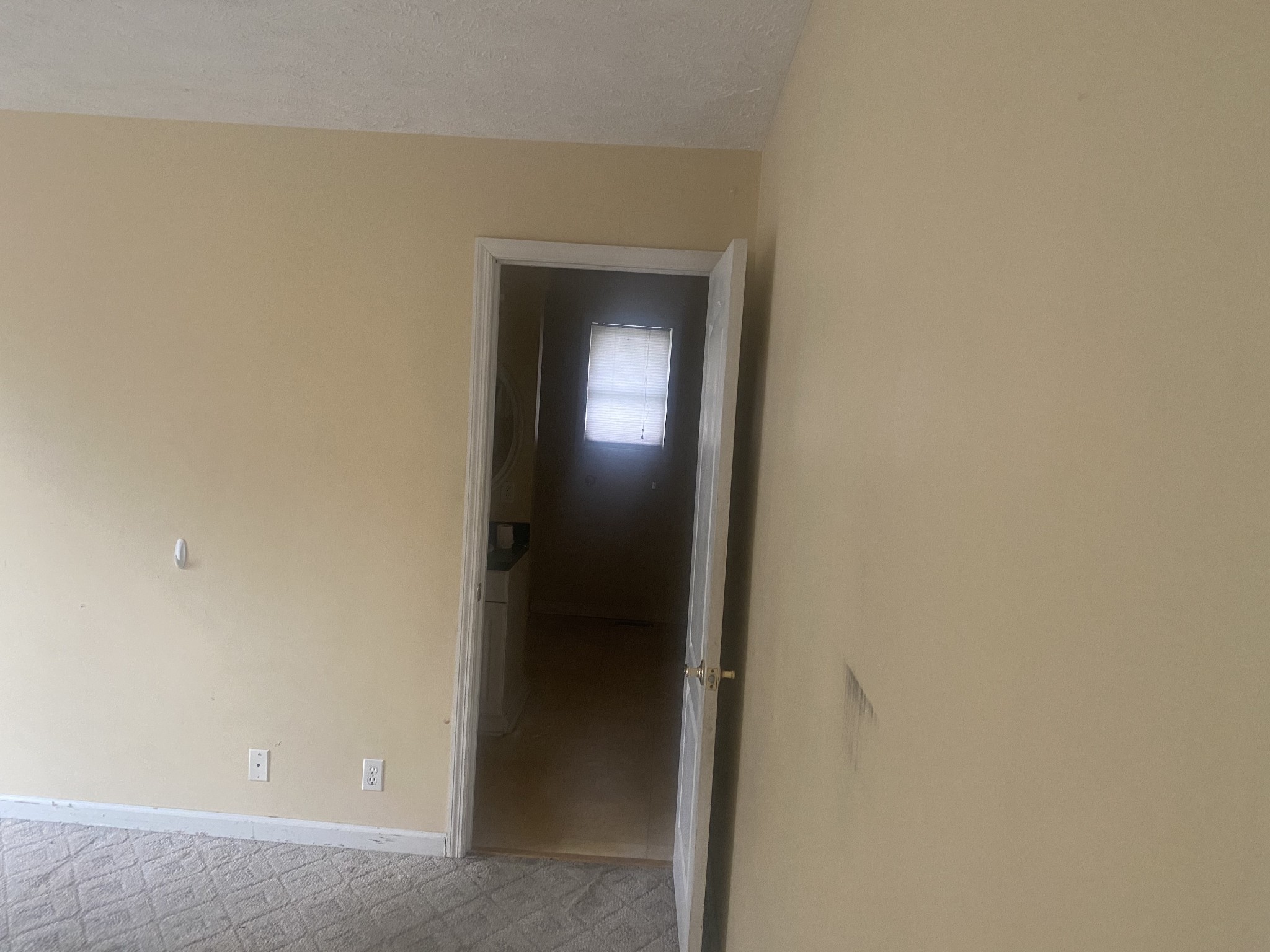 113 Lake Wood Road Lebanon, TN 37087 - Photo 8 of 19 a view of a hallway with a wooden cabinets