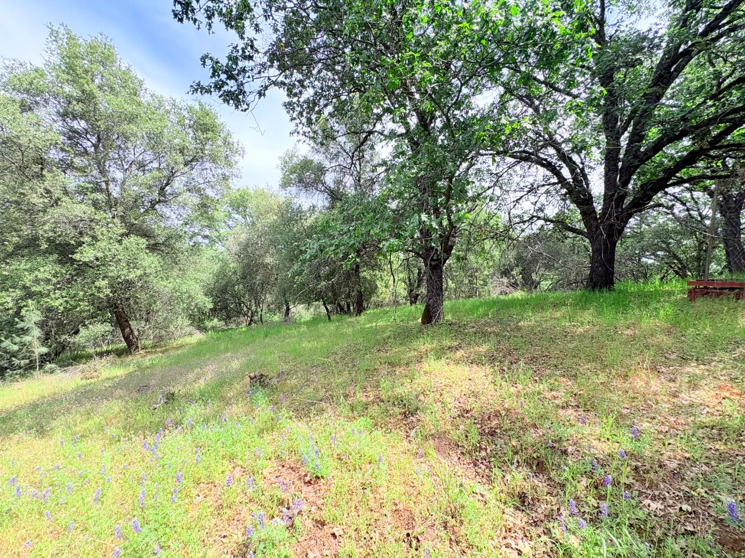 12063 Woodacre Road Grass Valley, CA 95949 - Photo 69 of 73