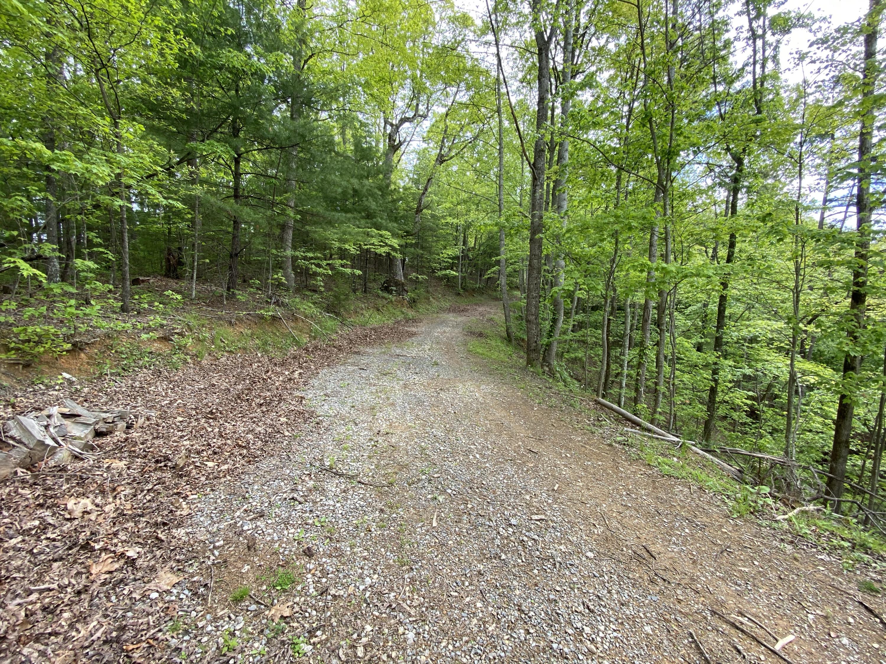 440 Heavenly Way Del Rio, TN 37727 - Photo 24 of 25 18