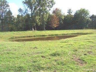 6830 Chambers Road Millington, MI 48746 - Photo 13 of 25 3rd pond