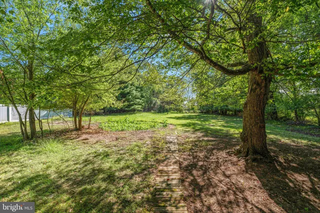 a view of a yard with a tree