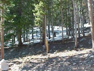 Lot 373 Steuart Road Idaho Springs, CO 80452 - Photo 1 of 12 Gallery Image 1