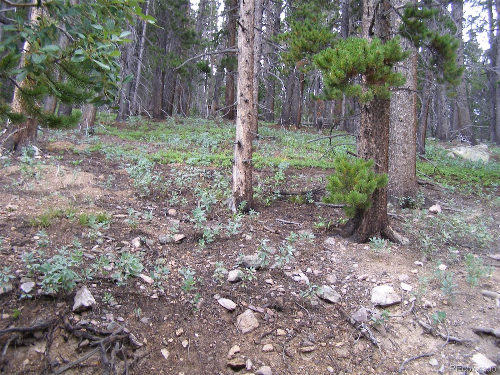 Lot 373 Steuart Road Idaho Springs, CO 80452 - Photo 11 of 12 Gallery Image 11