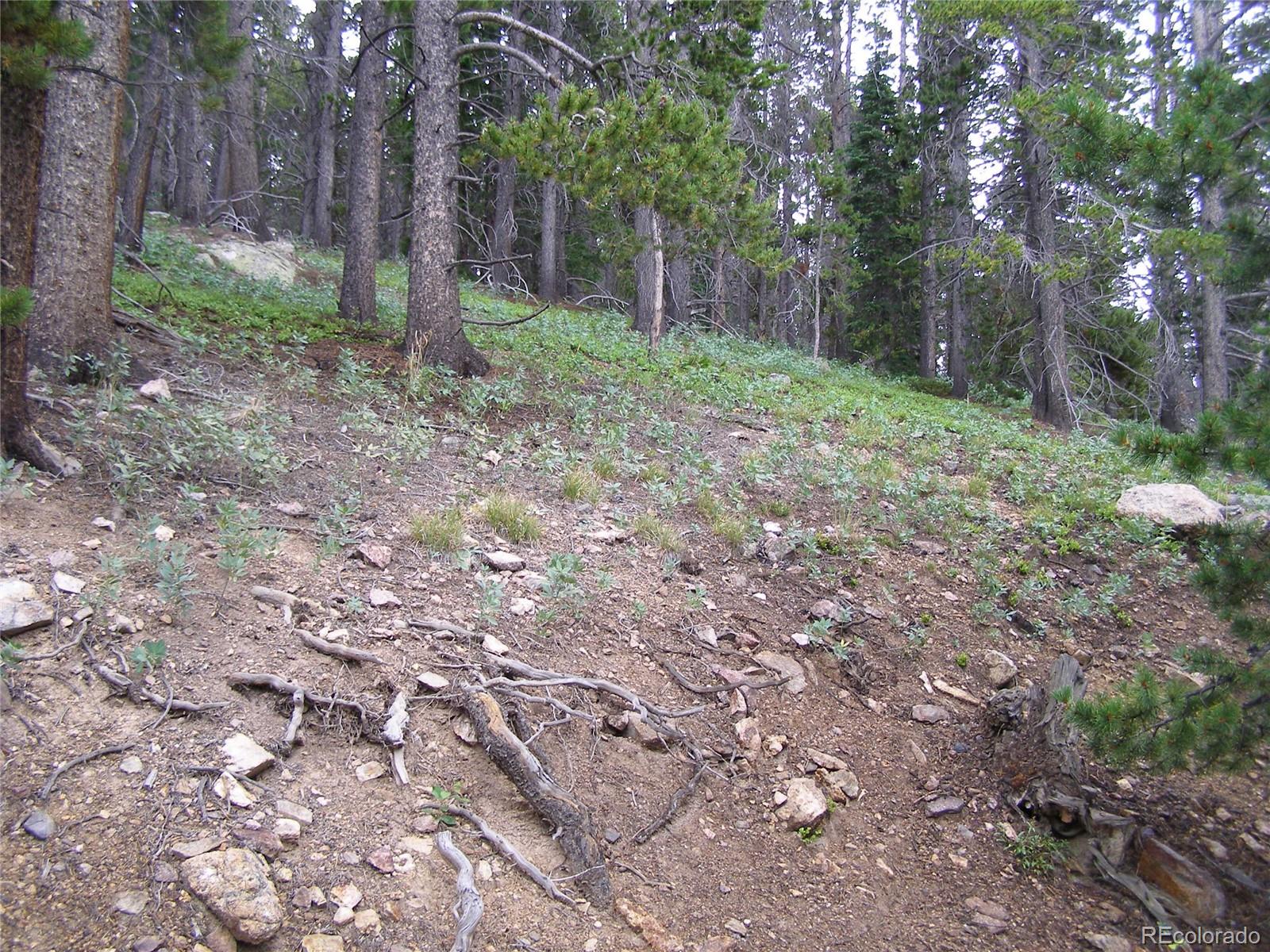 Lot 373 Steuart Road Idaho Springs, CO 80452 - Photo 12 of 12 Gallery Image 12