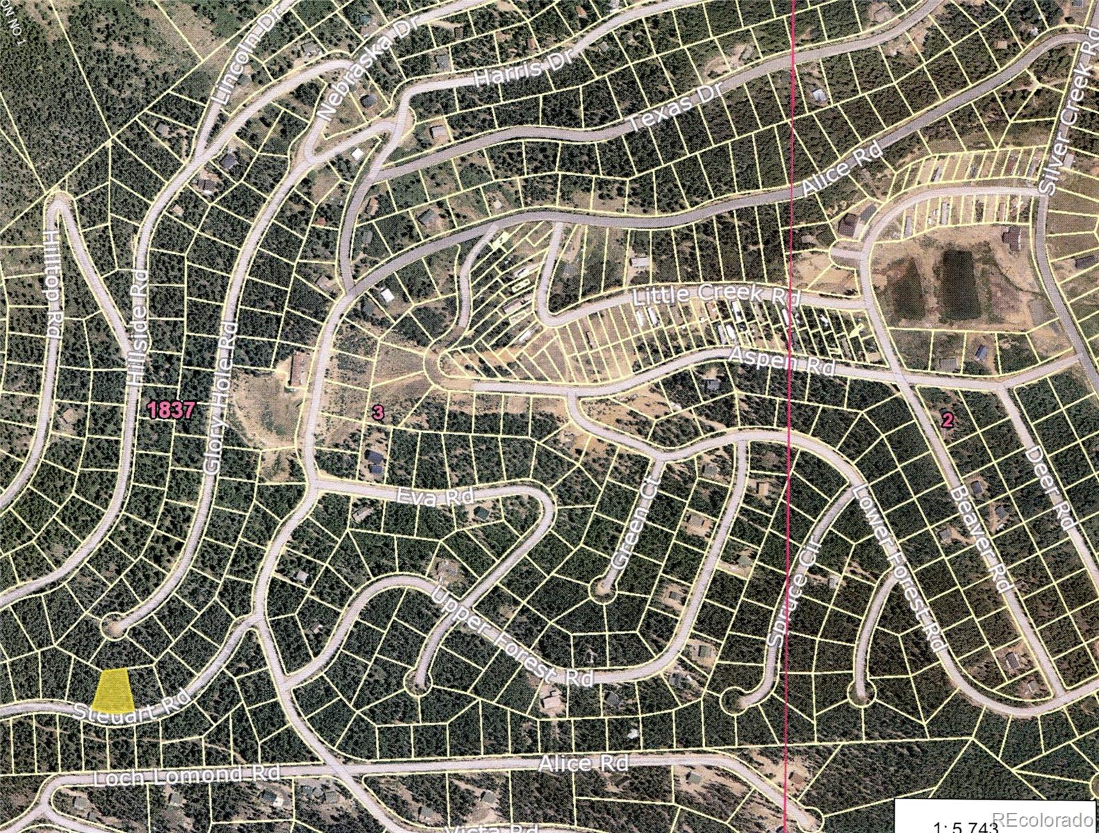 Lot 373 Steuart Road Idaho Springs, CO 80452 - Photo 2 of 12 Gallery Image 2