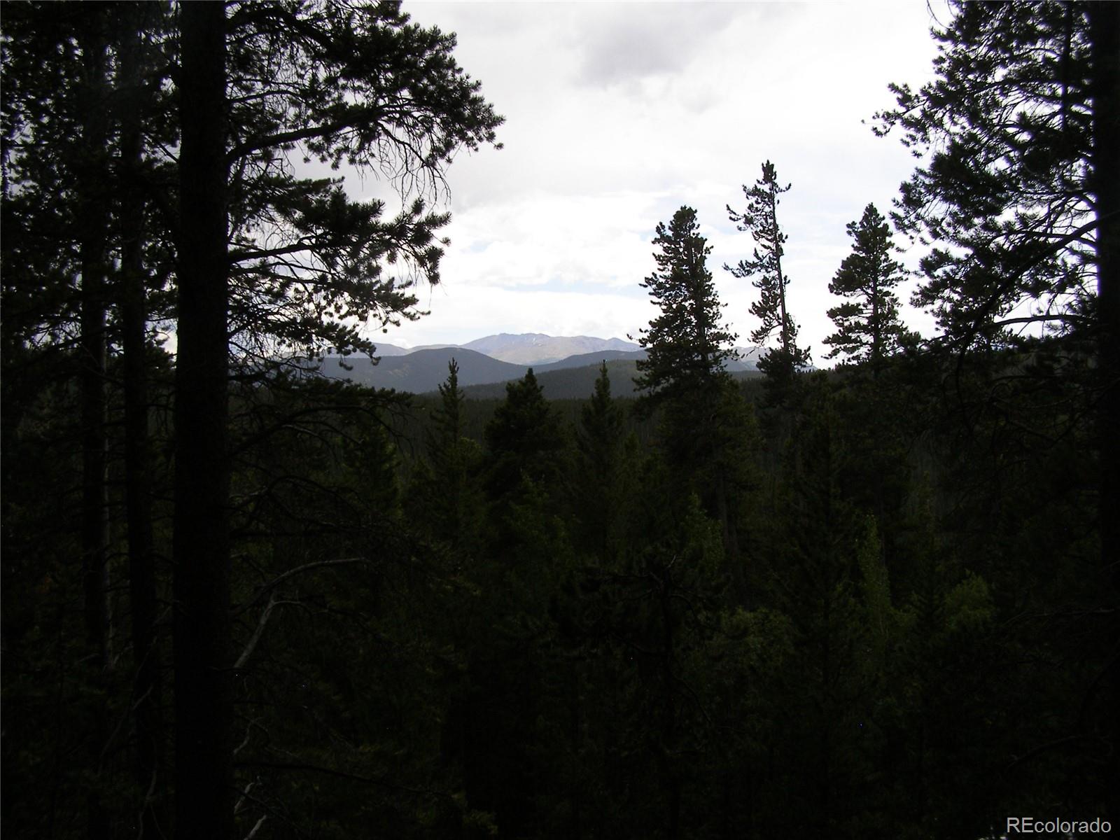 Lot 373 Steuart Road Idaho Springs, CO 80452 - Photo 5 of 12 Gallery Image 5