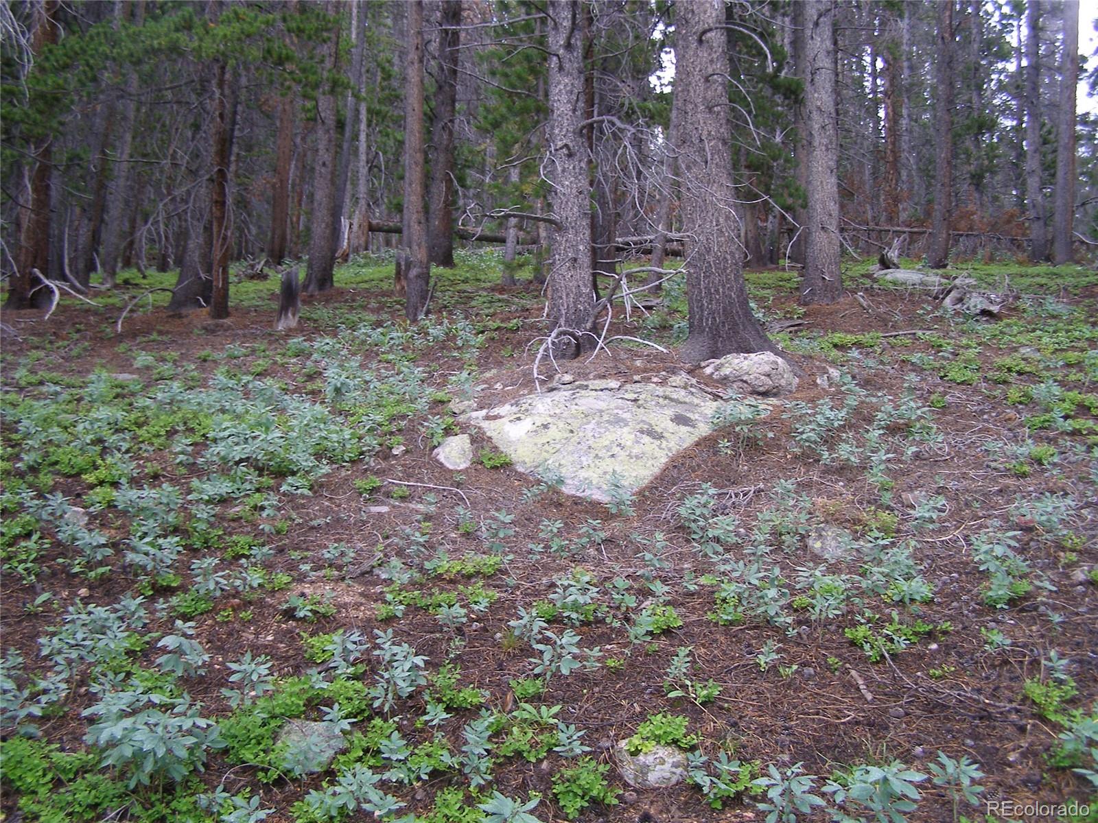 Lot 373 Steuart Road Idaho Springs, CO 80452 - Photo 7 of 12 Gallery Image 7