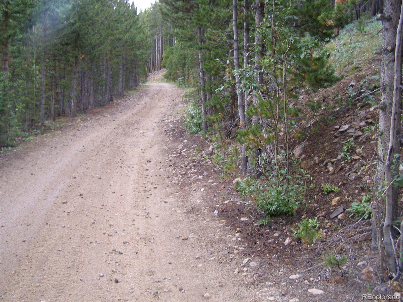 Lot 373 Steuart Road Idaho Springs, CO 80452 - Photo 8 of 12 Gallery Image 8