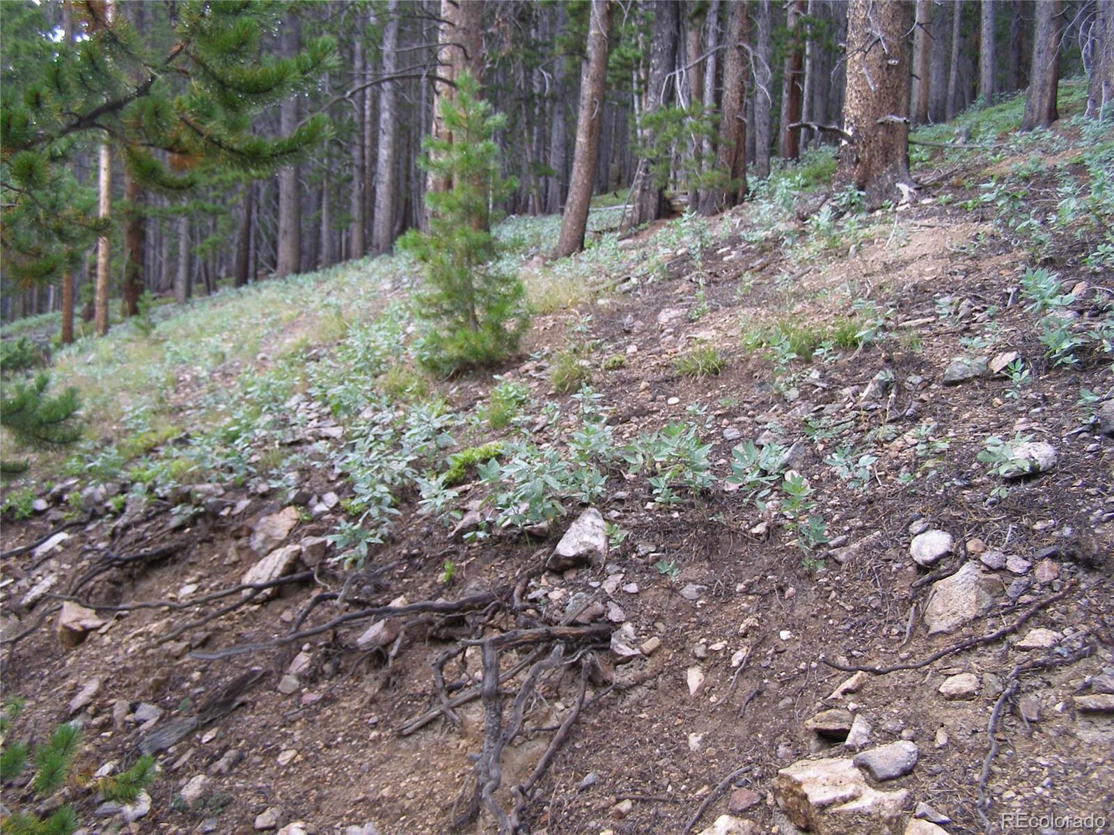 Lot 373 Steuart Road Idaho Springs, CO 80452 - Photo 10 of 12 Gallery Image 10