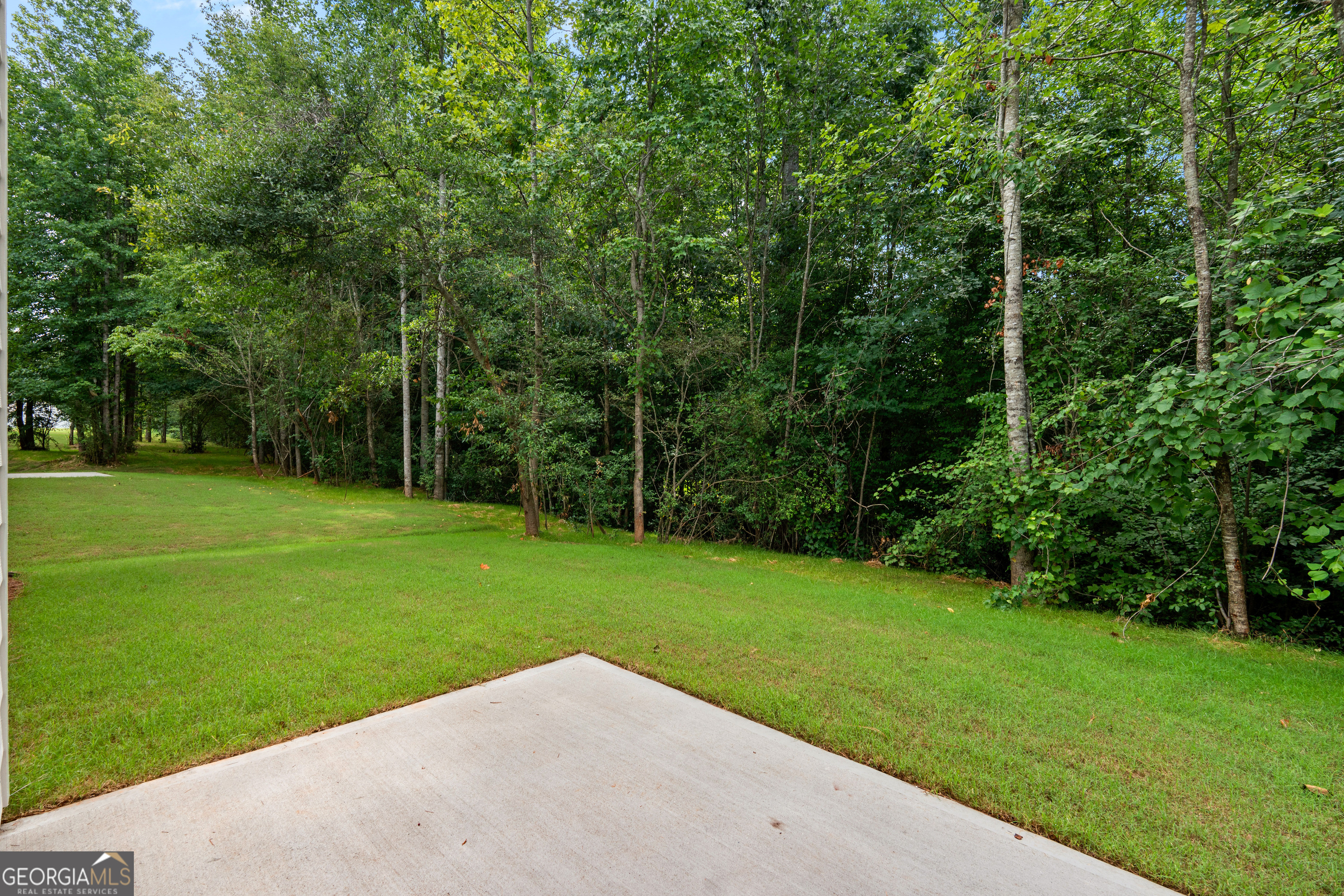 487 Charleston Place Villa Rica, GA 30180 - Photo 44 of 49