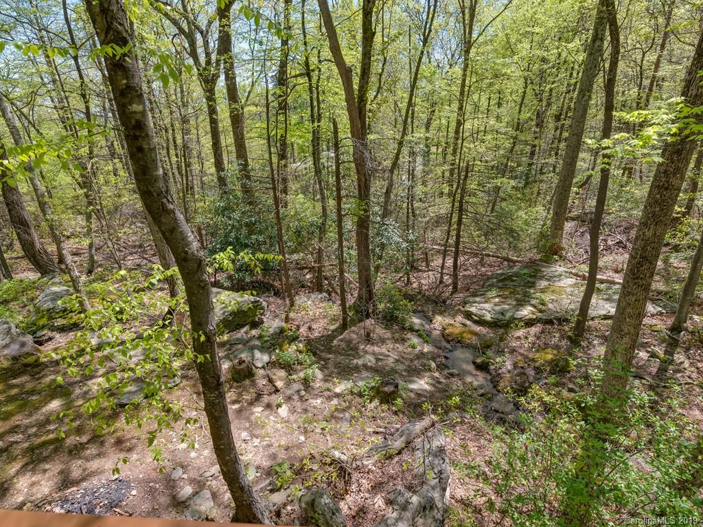1251 Judes Gap Road Mill Spring, NC 28756 - Photo 21 of 35 a view of a yard with plants and wooden fence