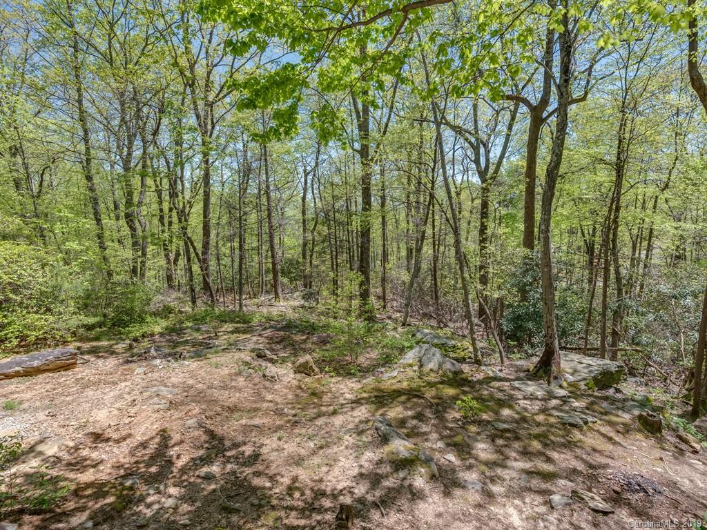 1251 Judes Gap Road Mill Spring, NC 28756 - Photo 22 of 35 a view of outdoor space and green space
