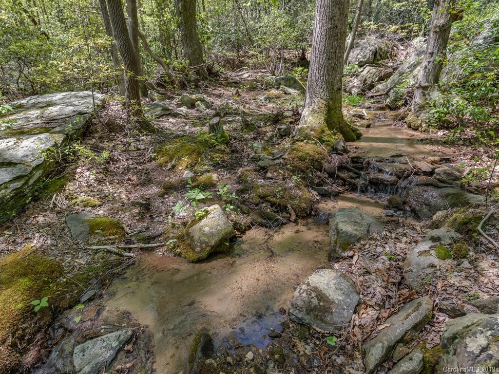 1251 Judes Gap Road Mill Spring, NC 28756 - Photo 24 of 35 a view of a forest with trees