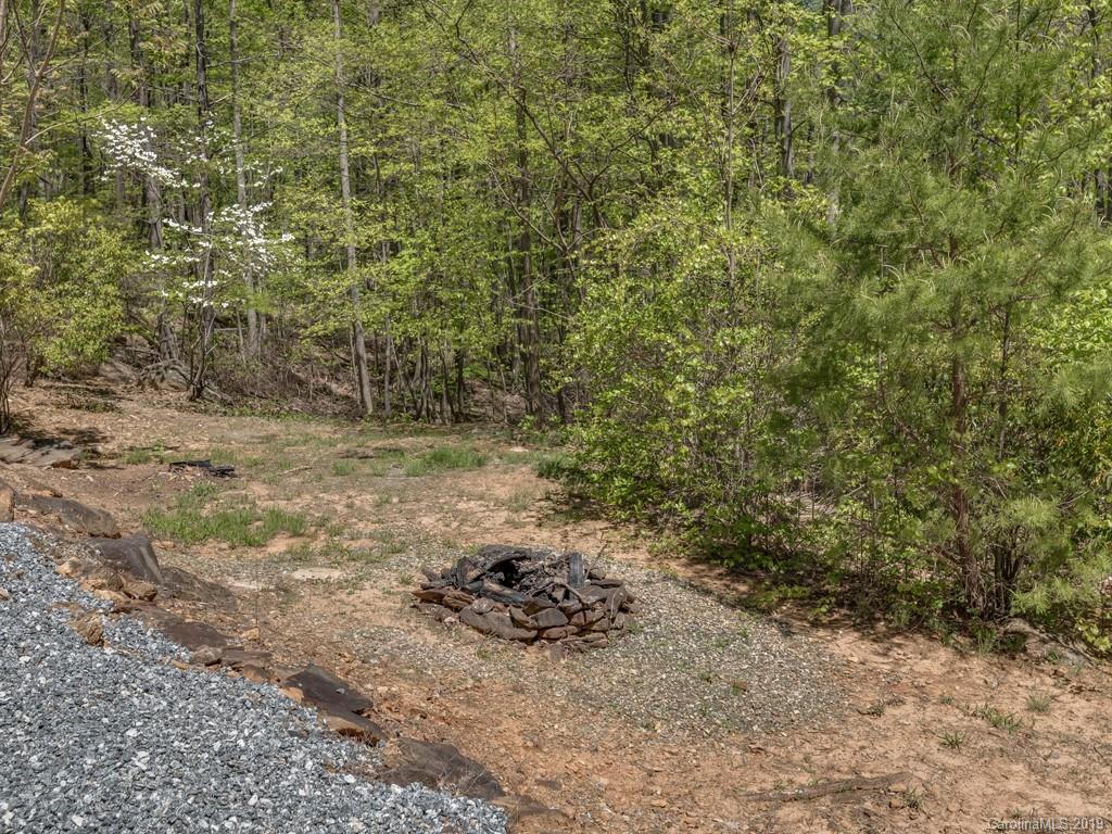 1251 Judes Gap Road Mill Spring, NC 28756 - Photo 31 of 35 a view of a forest with a sink