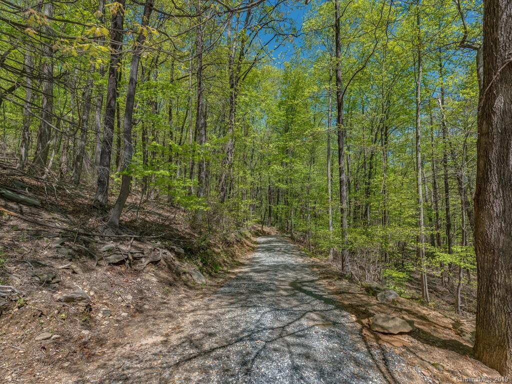 1251 Judes Gap Road Mill Spring, NC 28756 - Photo 32 of 35 a view of a garden