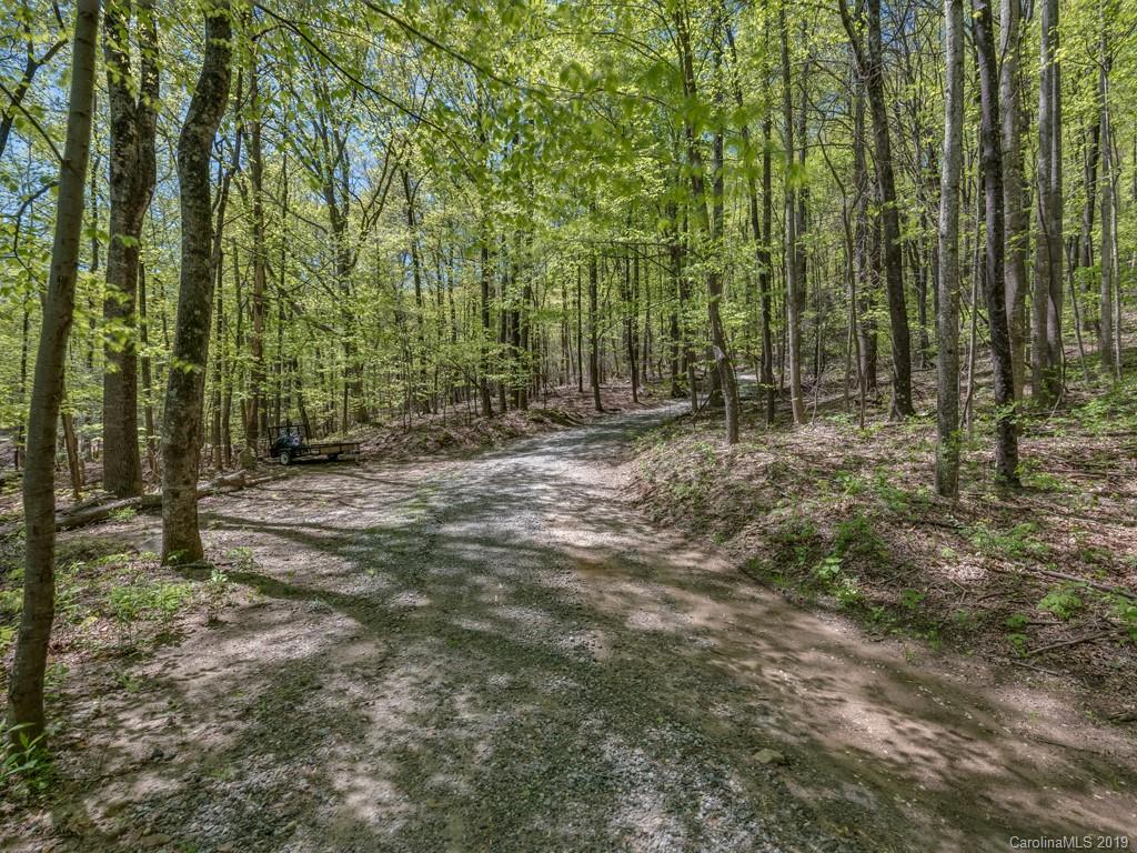 1251 Judes Gap Road Mill Spring, NC 28756 - Photo 33 of 35 a view of a forest with trees