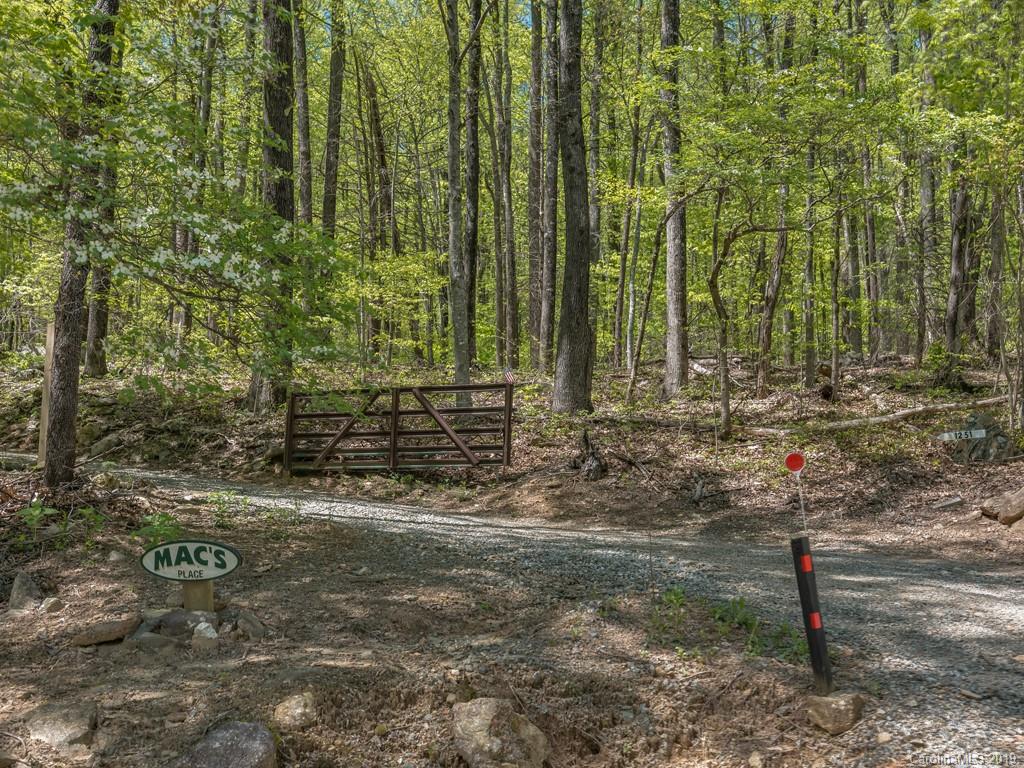 1251 Judes Gap Road Mill Spring, NC 28756 - Photo 34 of 35 a view of a yard with lots of trees