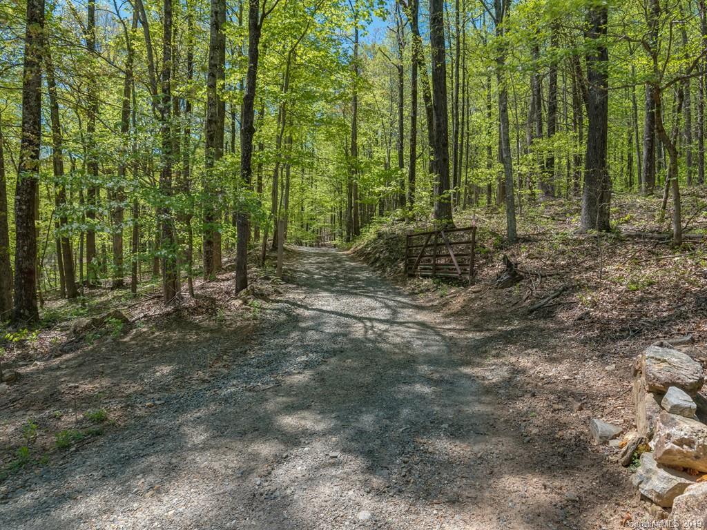 1251 Judes Gap Road Mill Spring, NC 28756 - Photo 35 of 35 a view of outdoor space and garden