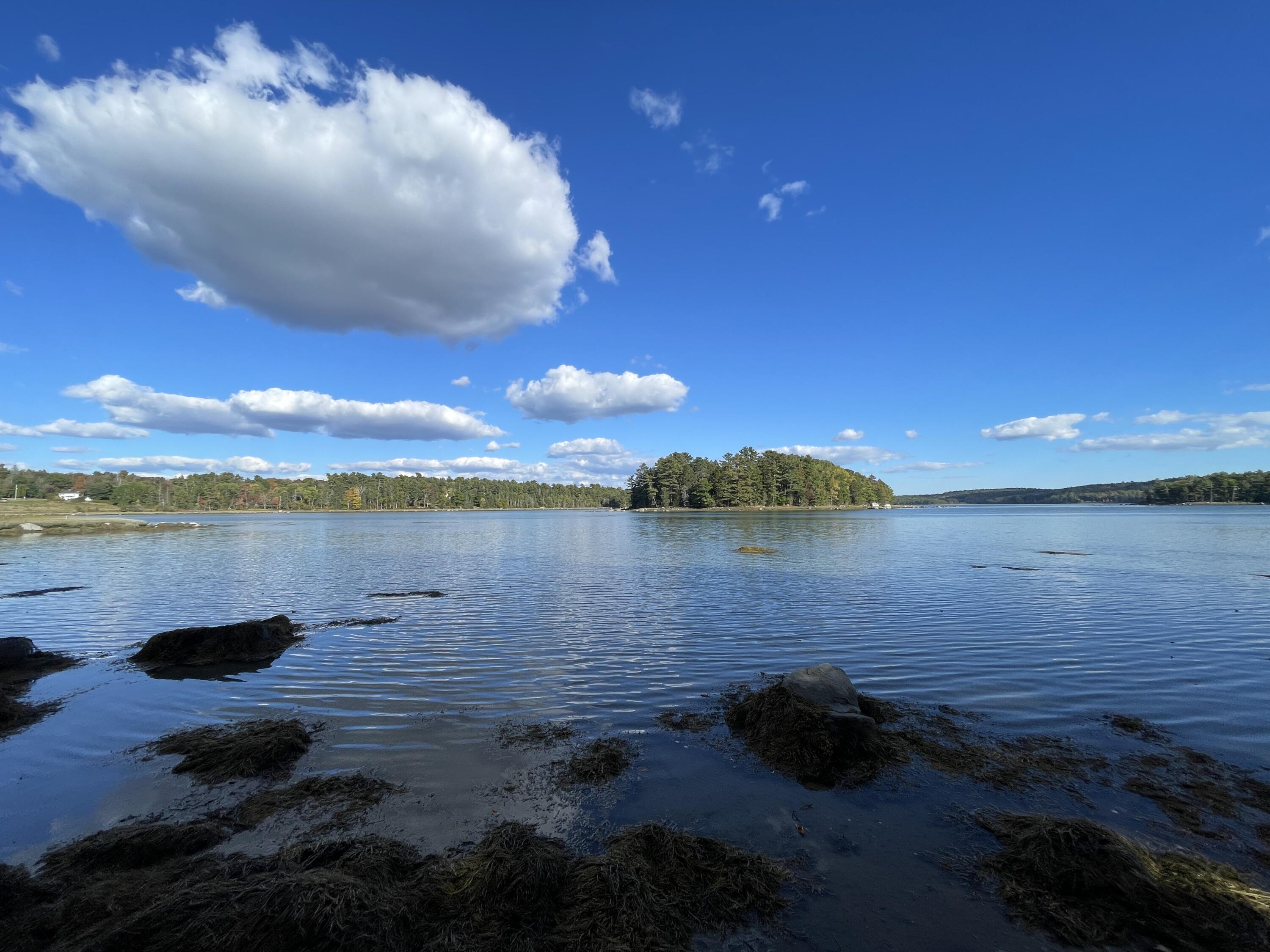 42 Dwelly Point Road Franklin, ME 04634 - Photo 1 of 22 IMG_5462