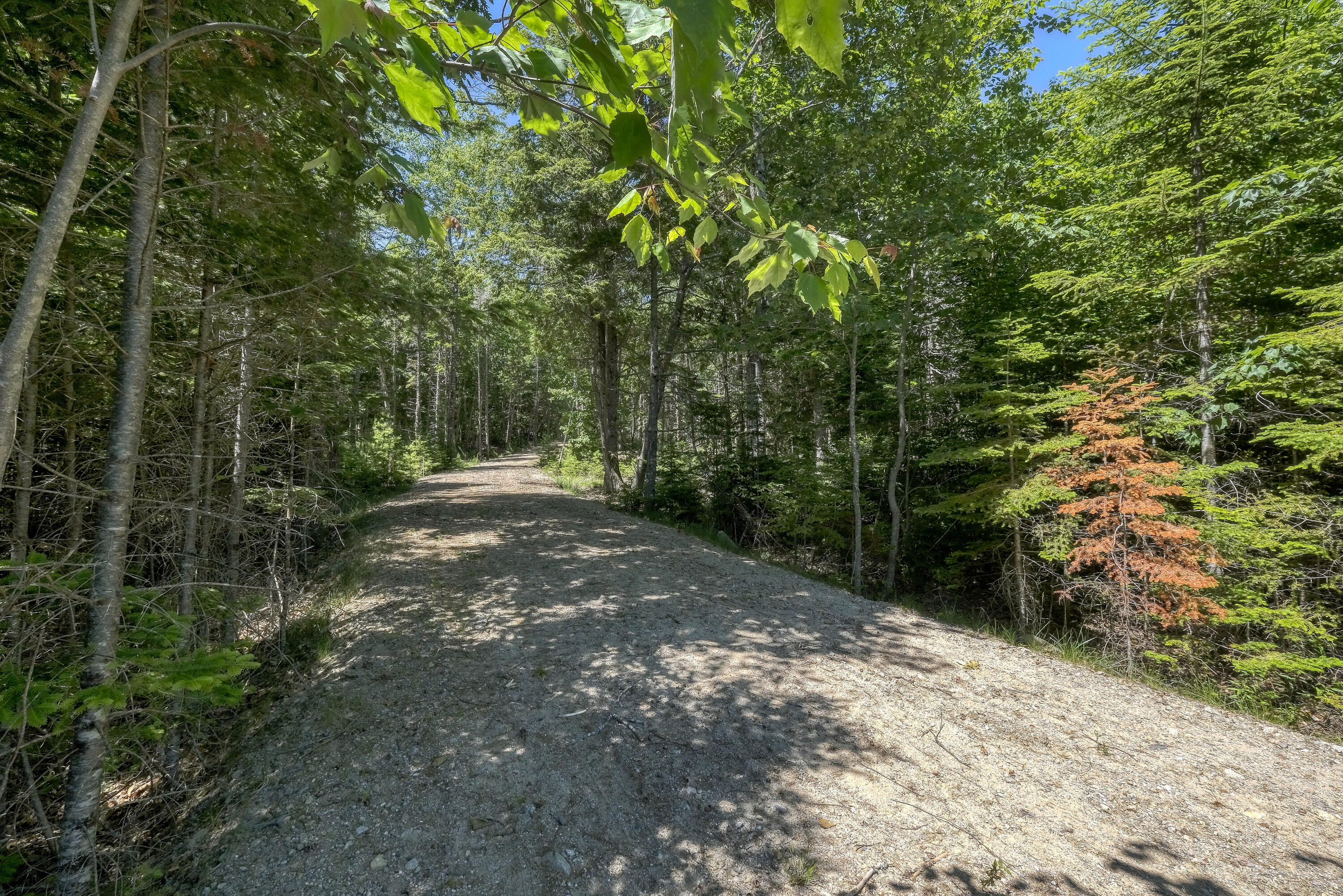 42 Dwelly Point Road Franklin, ME 04634 - Photo 12 of 22 42DwellyPointRd-105
