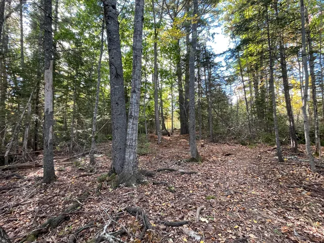 $196,000 | 42 Dwelly Point Road, Franklin, ME 04634