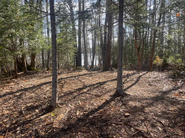 $196,000 | 42 Dwelly Point Road, Franklin, ME 04634