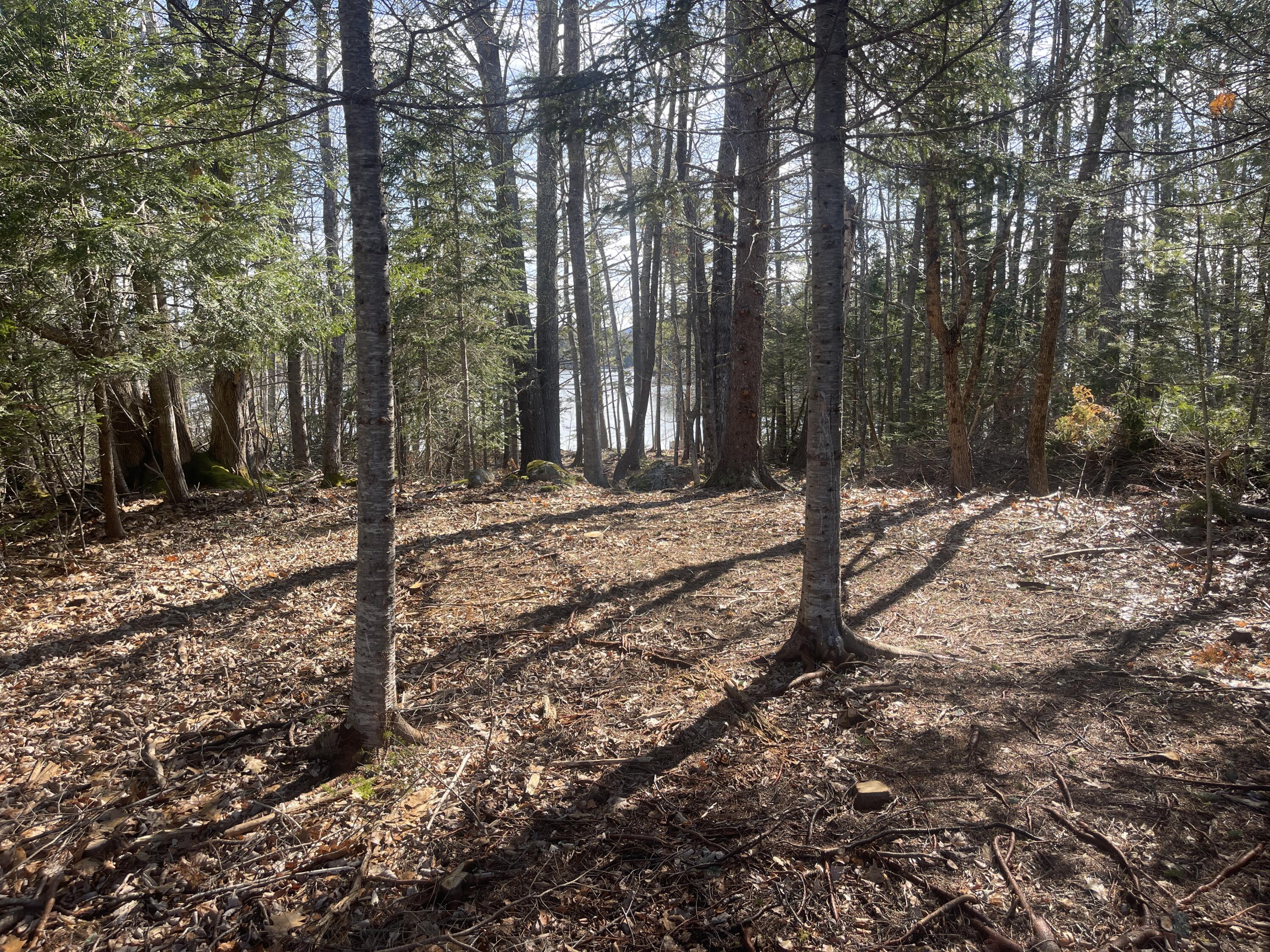 42 Dwelly Point Road Franklin, ME 04634 - Photo 17 of 22 IMG_6677