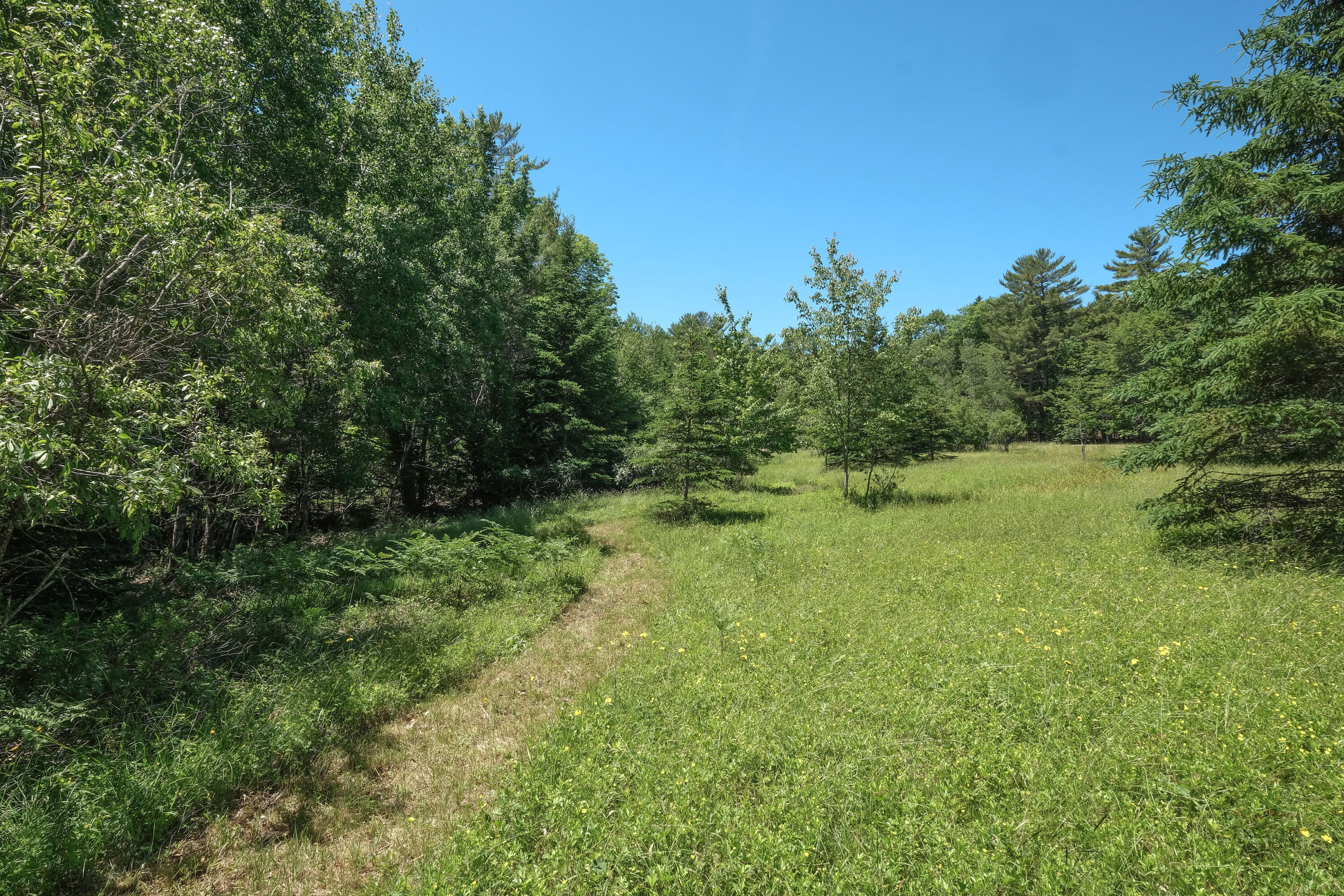 42 Dwelly Point Road Franklin, ME 04634 - Photo 3 of 22 42DwellyPointRd-16