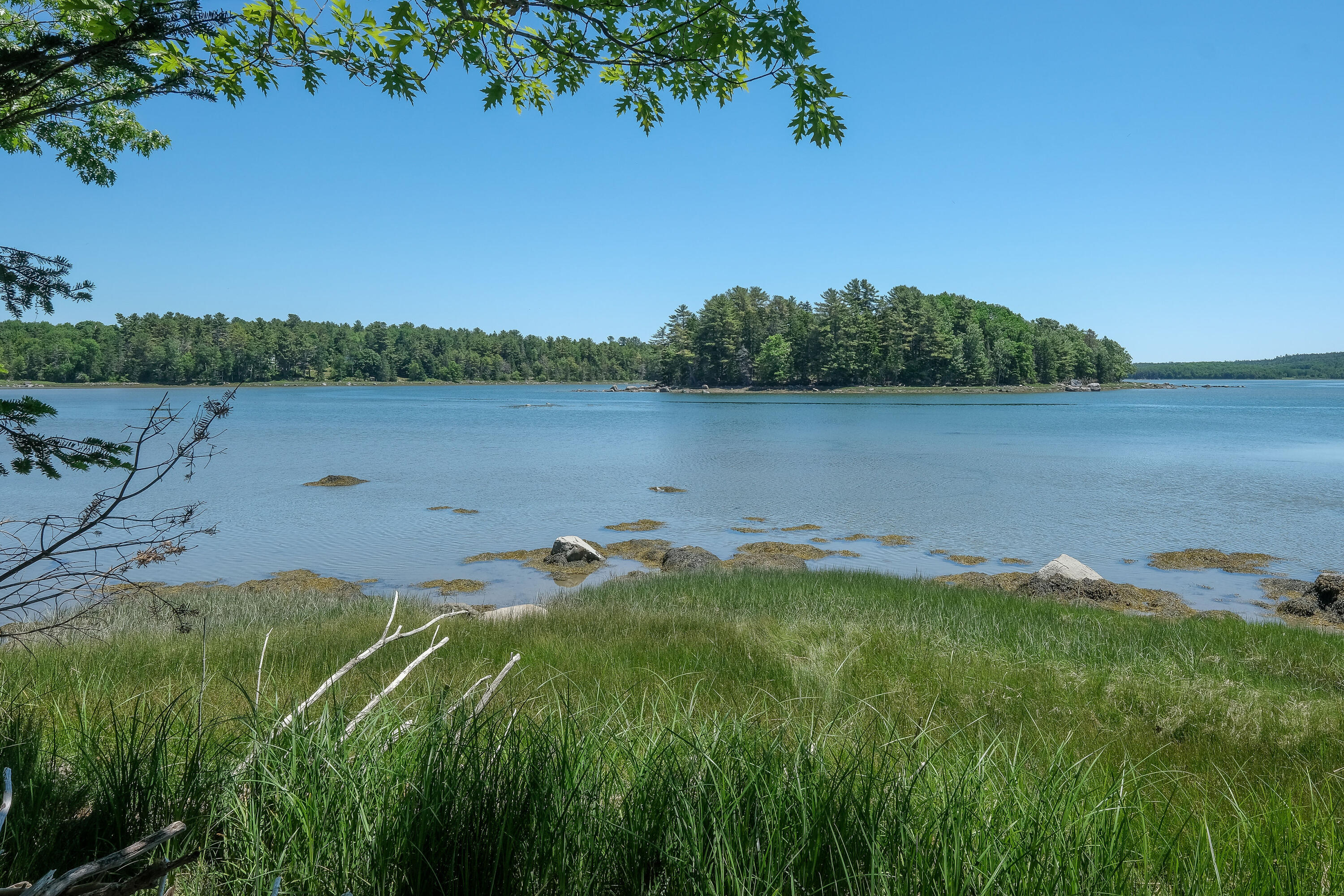 42 Dwelly Point Road Franklin, ME 04634 - Photo 8 of 22 42DwellyPointRd-20