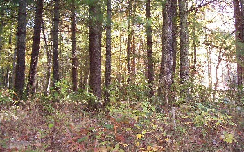 100 Gander Gap Road Hiawassee, GA 30546 - Photo 1 of 1 Main View