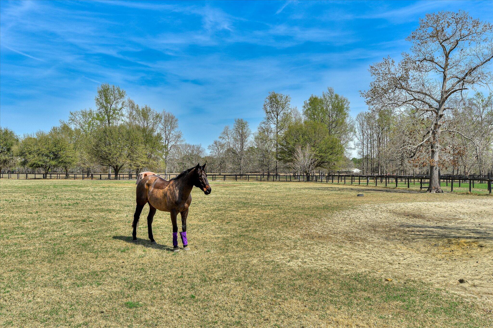 1063 Colbert Bridge Road Aiken, SC 29803 - Photo 28 of 68
