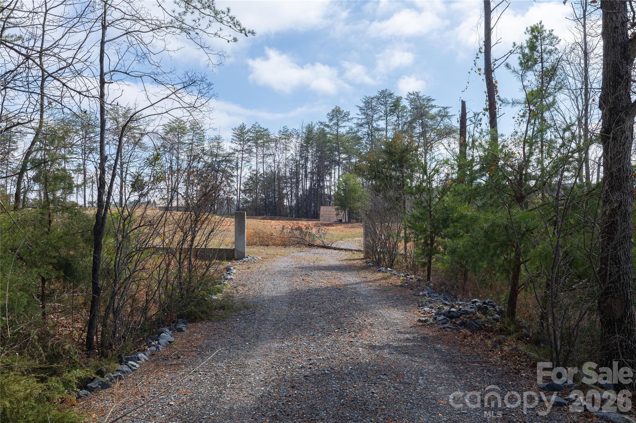1399 Moss Ridge Road Fort Mill, SC 29708 - Photo 5 of 12 a view of a forest with trees in the background