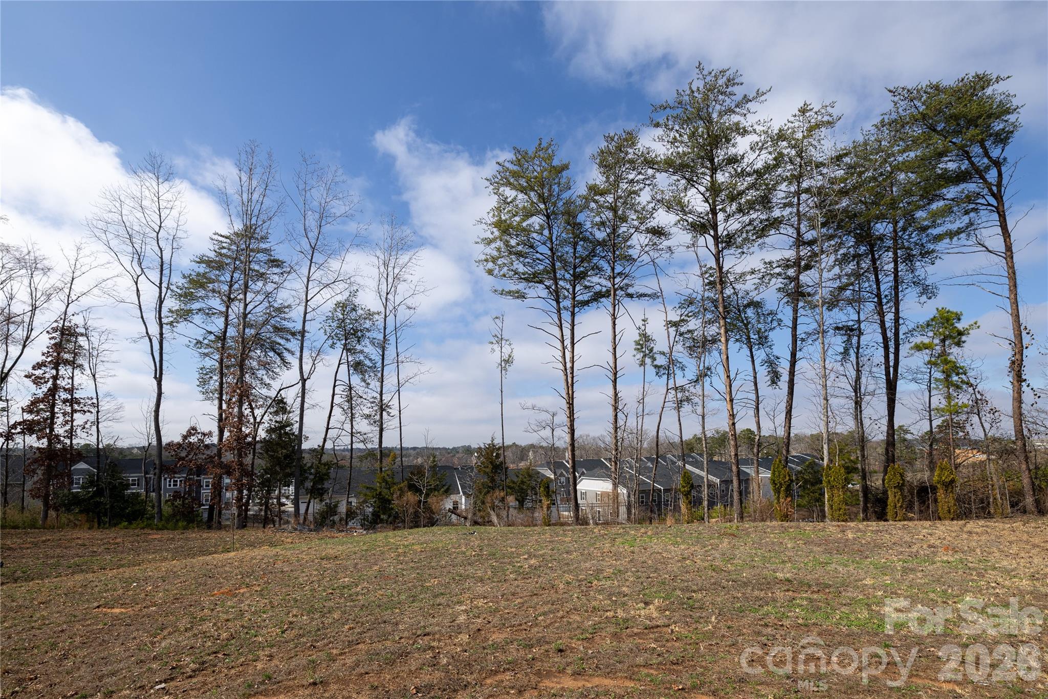 1399 Moss Ridge Road Fort Mill, SC 29708 - Photo 9 of 12 a row of palm trees and a yard