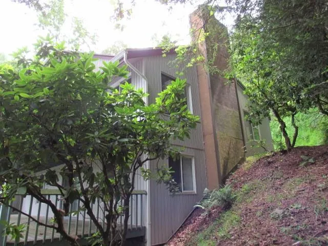 a kitchen with granite countertop wooden cabinets stainless steel appliances and a window