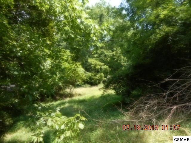 3638 Big Springs Ridge Road Friendsville, TN 37737 - Photo 20 of 31 Gallery Image 20