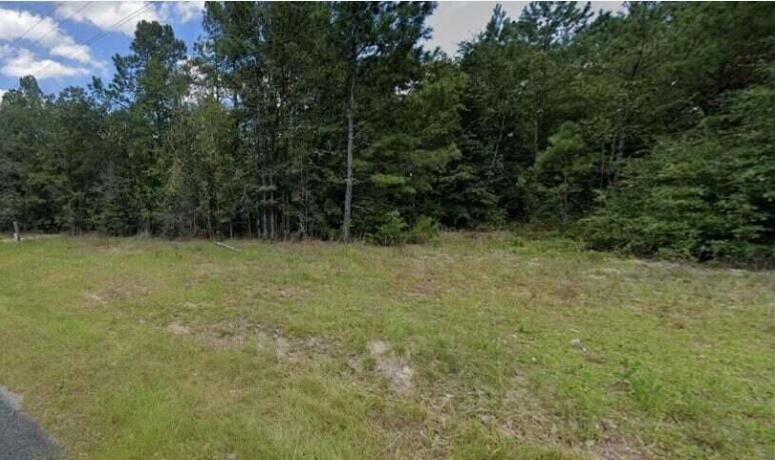 Tract C Finback Road Wagener, SC 29164 - Photo 1 of 1 Screenshot 2024-01-16 121124