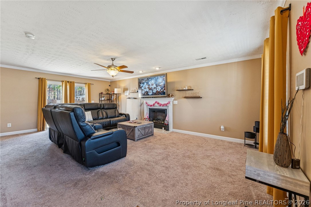 295 Pender Road Spring Lake, NC 28390 - Photo 16 of 30 a living room with furniture and a flat screen tv