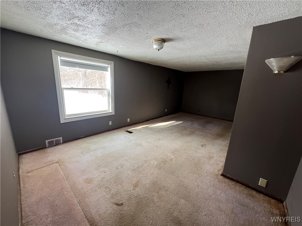 8610 Goodrich Road Clarence, NY 14032 - Photo 20 of 27