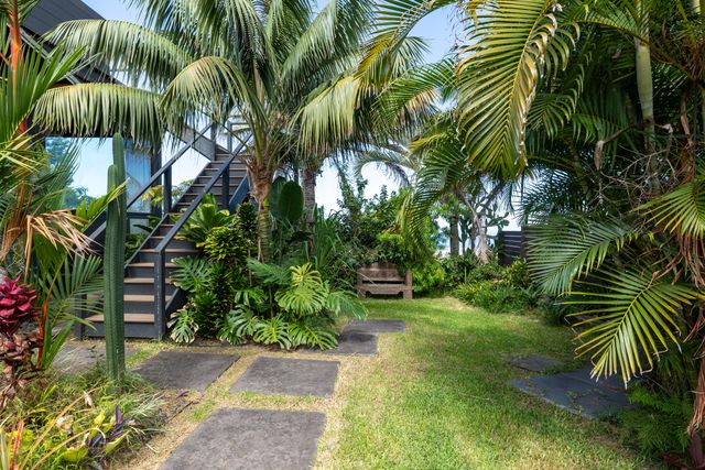 a view of backyard of house with palm trees