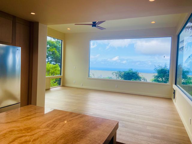 a view of a yard with plants